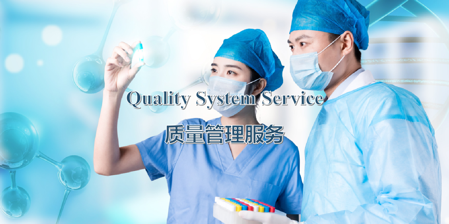 质量体系服务流程
